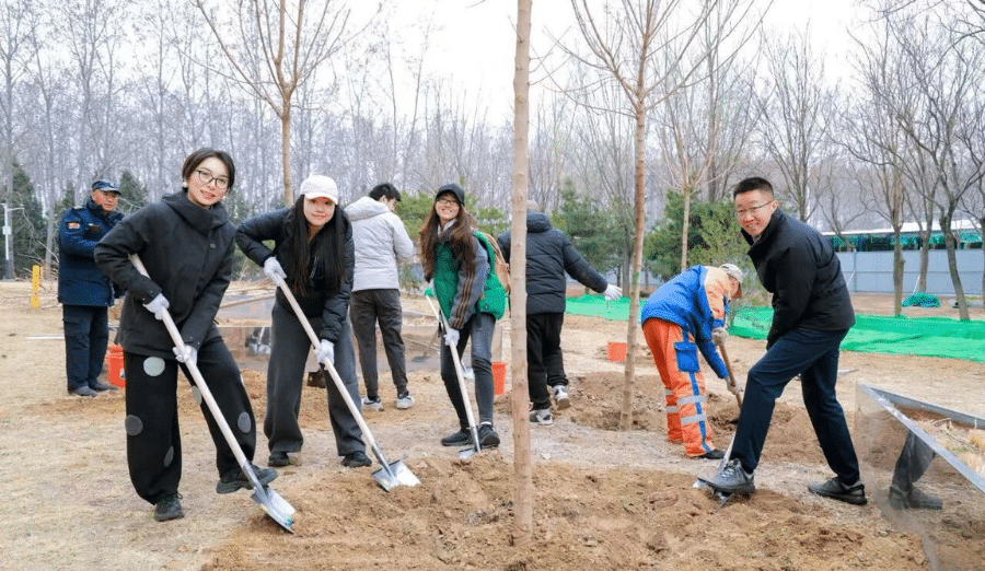 IWD Tree Planting - Her Promise Forest