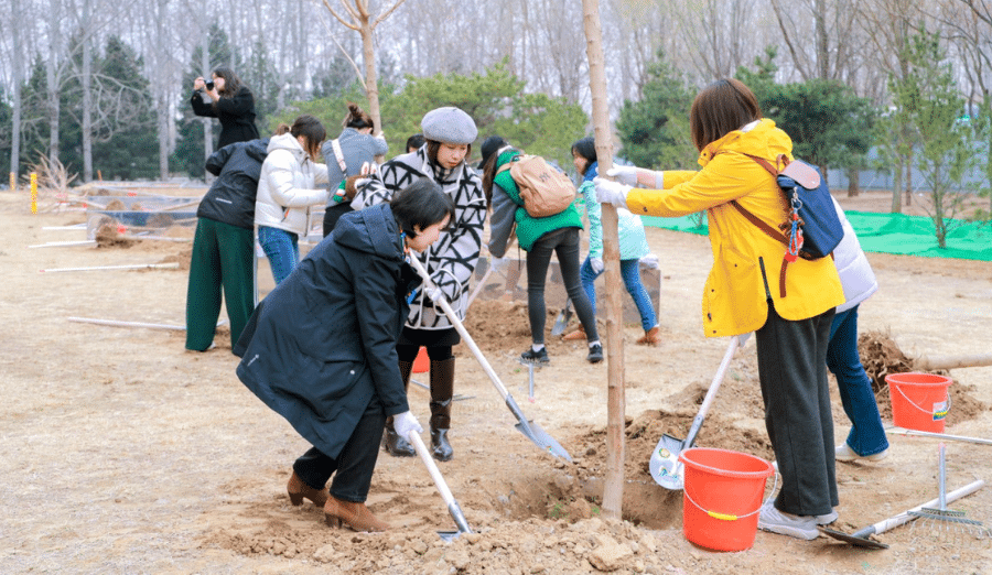 IWD Tree Planting - Her Promise Forest